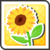 Sunflower Flower.png