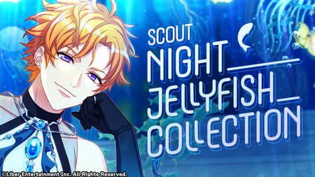 NIGHT JELLYFISH COLLECTION