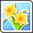 Narcissus Flower.png